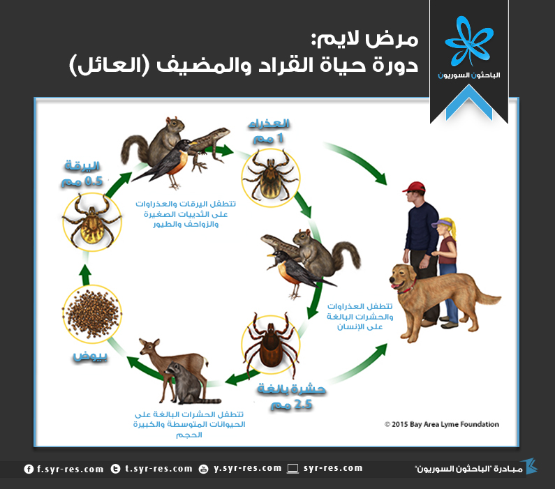 الباحثون السوريون الق ر اد الكائن الوحش